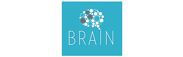 Logos_0002_Brain